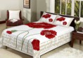 /album/colcha/a1003164-342087569254581-1173569426-n-jpg/